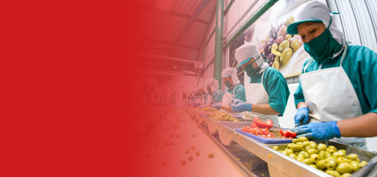 Le ponemos SABOR a todos tus proyectos de alimentos